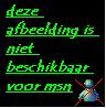1074417164_animaatjes-nl.bmp
