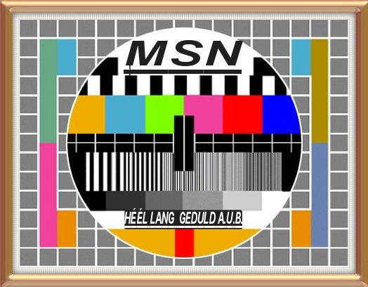 MSN3a.jpg